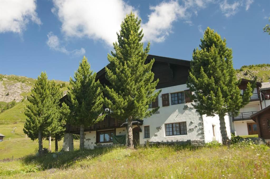 Schoenegg Hochparterre Riederalp Exterior foto